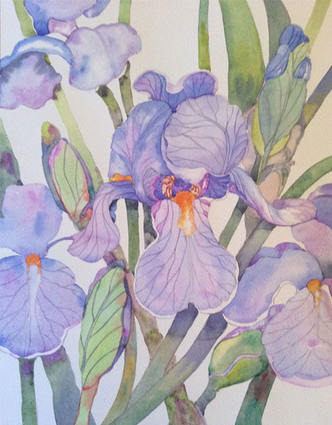 Blue Iris - Susan E Routledge
