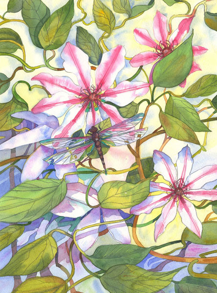 Clematis and Butterfy - Susan E Routledge