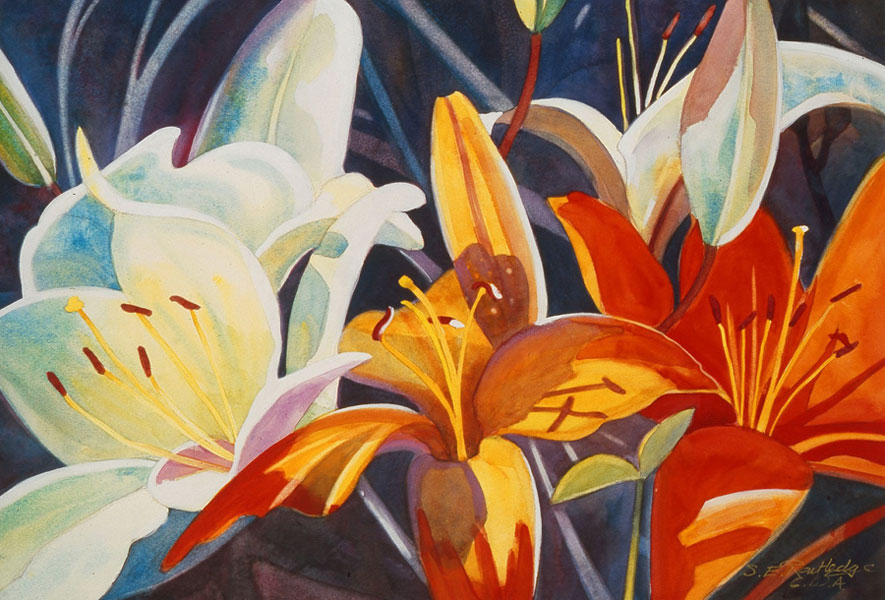 Susan E Routledge - Lilies
