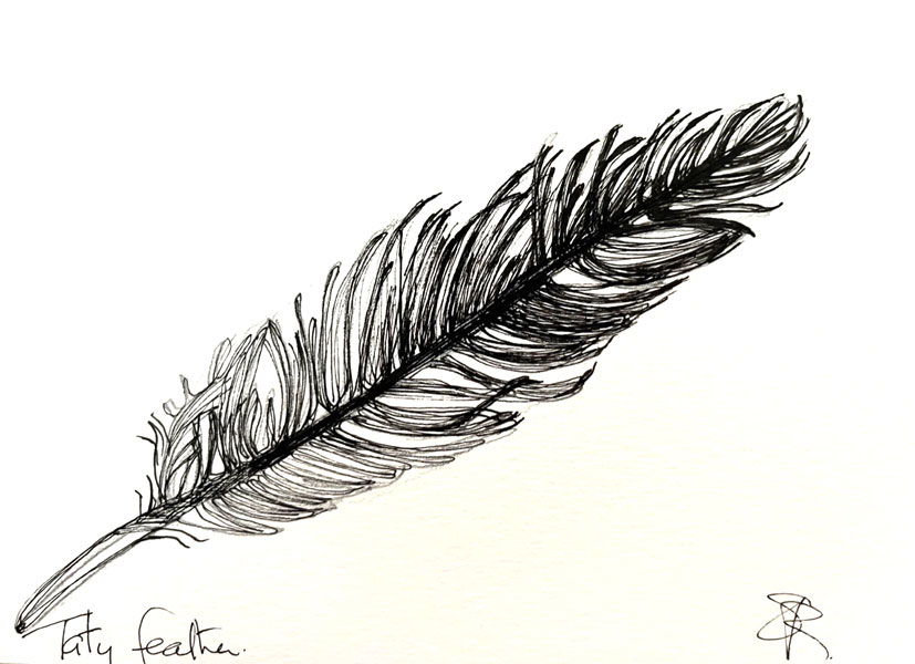 Feather - Pen and Ink on paper - Susan Routledge 